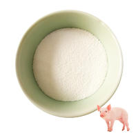 Organic acidifier for pig feed-Yumacid