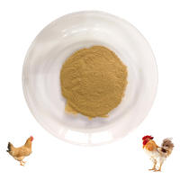 Natural growth promoter eucommia leaf extract poultry antibiotics